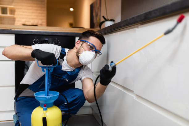 Best Best Pest Control Companies  in Muldrow, OK
