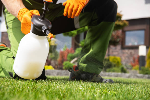 Best Exterminator Services  in Muldrow, OK