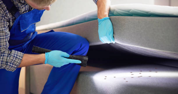 Best Best Pest Control Companies  in Muldrow, OK