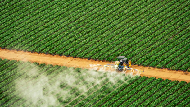 Best Affordable Pest Control Services  in Muldrow, OK