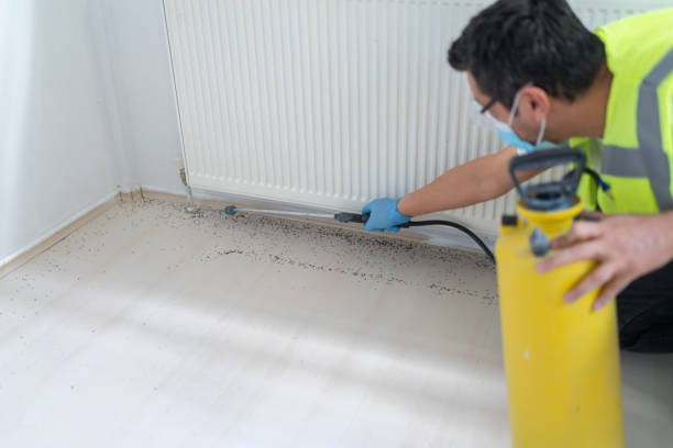 Best Flea Control Services  in Muldrow, OK