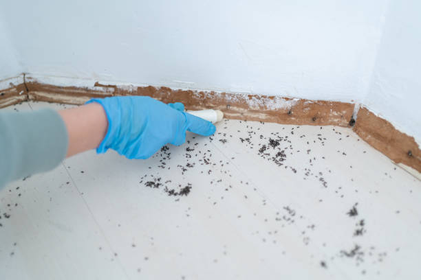 Best Bed Bug Extermination  in Muldrow, OK