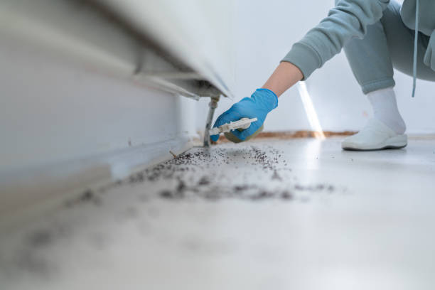 Best Insect Control  in Muldrow, OK